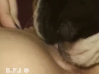 Dog Suckers 12 010