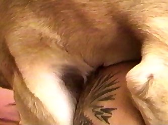 Girl With Big Tits Fucked By Dogs