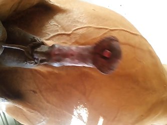 Under Horse Beastforum Geles Masturbation