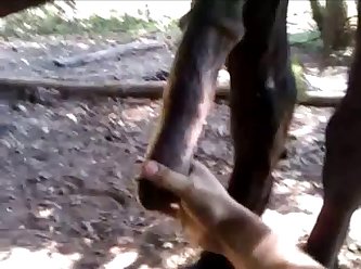 Guy Jacks Off A Nice Horse Cock