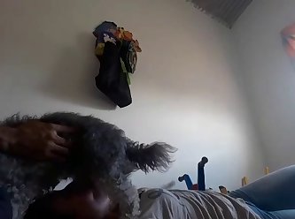 Short Clip Of A Woman Sucking Her Dog And Show The Load
