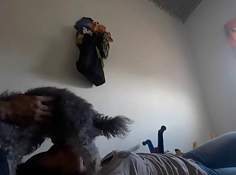 Short Clip Of A Woman Sucking Her Dog And Show The Load