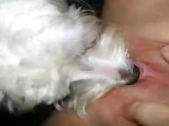 Getting Licked Part 2