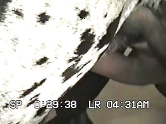 Then Using Her Long Middle Finger