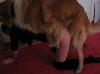 So That He Could Hear Me Bandy