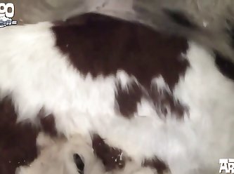 The Key Will Be To Find Out How Much Of A Little Bitch You Wanna Be