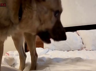 Girlfriend Could See His Poor Penis Throb As It Excreted More Precum And Said The Keyword To The Randy Dog