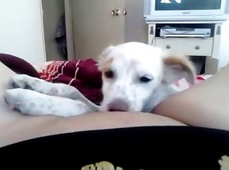 Il Allait Bientôt Montrer Son Appréciation Pour Mes Efforts. Sa Bite A Légèrement Tressailli Dans Ma Bouche