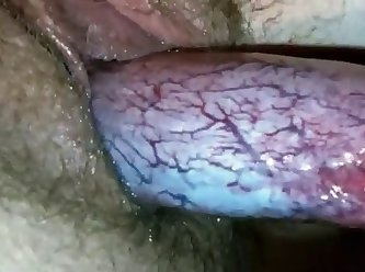 J'ai Continué À Pomper La Bite Du Cheval Dans Ma Bouche