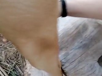 Et La Bite Du Chien Disparut Dans Sa Bouche