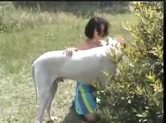 Il La Pilonnait Sans Relâche Et Comme La Veille