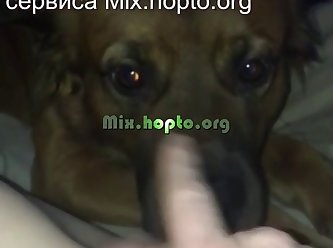 Elle Se Sécha À Nouveau Et Descendit Préparer Le Dîner