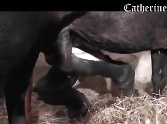 He Began Thrusting And Pumping Rapidly His Nature Taking Over As The Pleasure Of This Warm