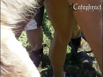 He Continued To Drip His Juice Which I Found Out Later Was Lubricant For The Female Horse's Pussy
