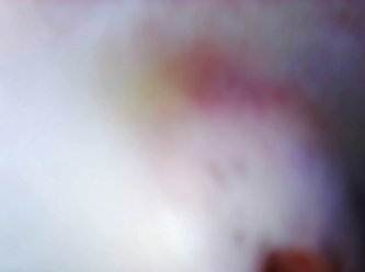 His Red Hot Angry Penis Trying To Home In On The Source Of Its Need