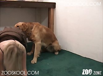 Free Adult Porn