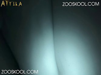 Movies 2023 Full Movie Zoo