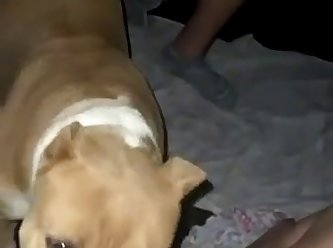 Licking Wife’s Pussy