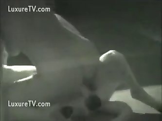 Woman Obsessed With Dog Cock