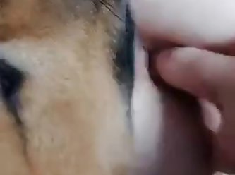 Dog Licking Bbw Pussy And Asshole