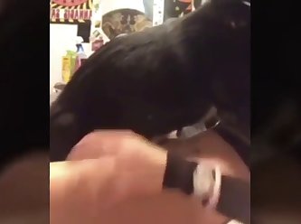 6705 480p