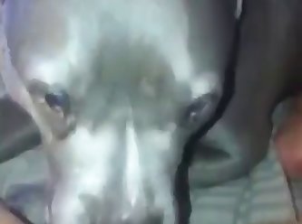 Slut Loves Getting Licked