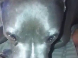 Slut Loves Getting Licked