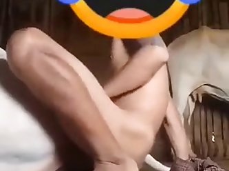 Indian Boy Fucked A Cow In The Ass