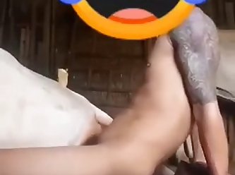 Indian Boy Fucked A Cow In The Ass