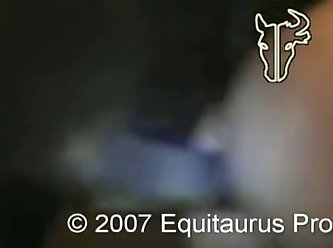 Horse Fuck Boy Equitaurus Productions