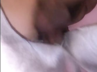 Young Boy Fucks Dog Pussy