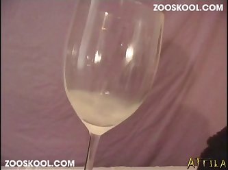 Zoo Hub Sex