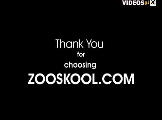 Zoo Tube New