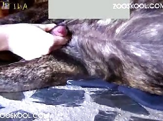 Zooskool Amanda Anna Electric Blondes 002