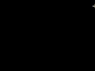 Asian Prno