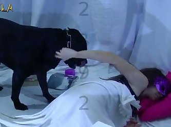 Emo Anal