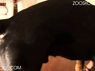 Zoo Tube Gay