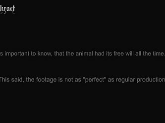 Tgtubes