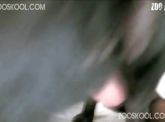 Tits To Hold Onto His Forepaws This Meant That He