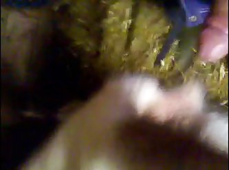 Videos Forno