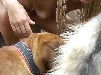 Dogs With The Biggest Dicks
