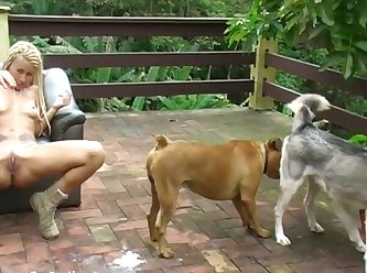 Dogs With The Biggest Dicks