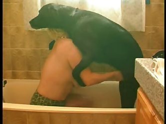 Free Dogsex Porn