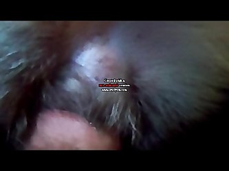 Wiggling My Ass And Arching My Back