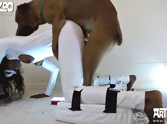 Animals Having Sex Porn