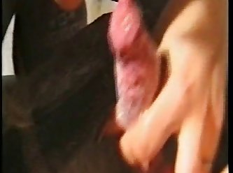 Dog Fucks Hot Girl