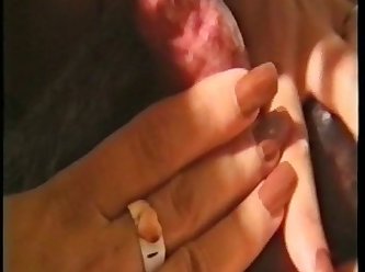 Dog Fucks Hot Girl