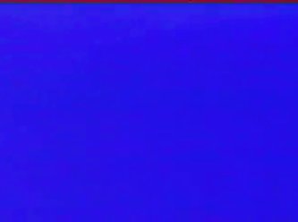 My Dog Is Licking His Anus