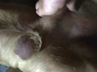 Sonya Dog Sex