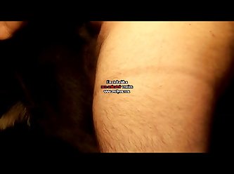 Why Do Cats Lick Their Anus